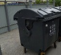 Ультразвук против грызунов: как борются с крысами на мусорках в Южно-Сахалинске 