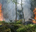 В Охинском районе вспыхнул лесной пожар
