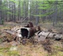 Обломки двух штурмовиков Ил-10 найдены на Сахалине 