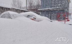 Общество