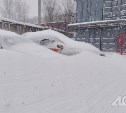 Снег уйдёт, ветер останется: синоптики рассказали о погоде на юге Сахалина 15 марта