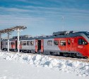 Часть пригородных поездов отменили на Сахалине из-за метели: актуальное расписание
