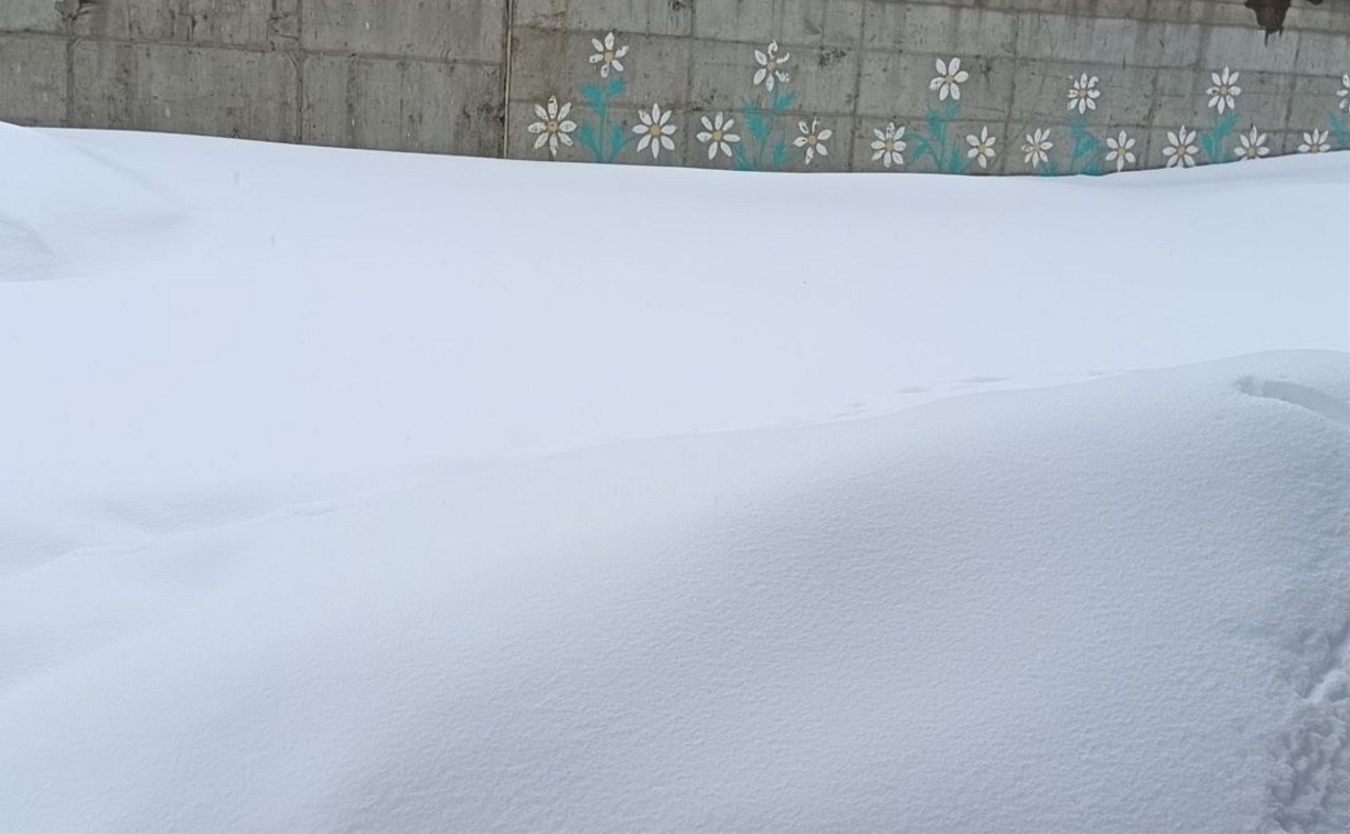 "Некуда бежать": жители Синегорска жалуются на полное отсутствие расчистки двора