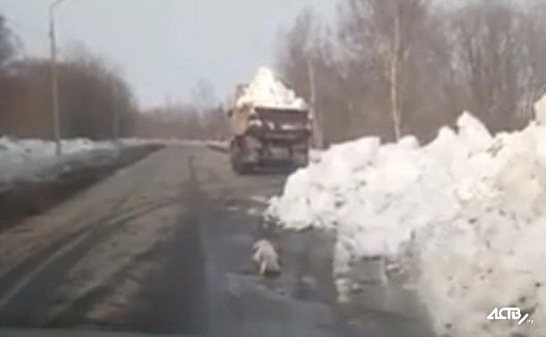 Импровизированный снежный полигон открыли в селе Анивского района