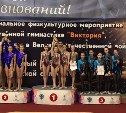Больше 200 юных гимнасток поборолись за победу на Сахалине