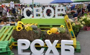 Общество