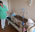 Сахалинское здравоохранение обсудили губернатор и ОНФ