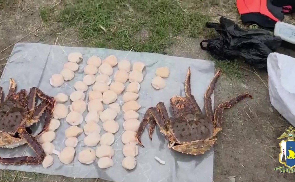 Свыше 2 тысяч морских гребешков обнаружили у браконьеров в заливе Анива