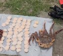 Свыше 2 тысяч морских гребешков обнаружили у браконьеров в заливе Анива
