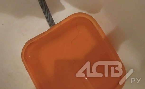 Очевидцы: в Синегорске из-под крана идёт вода с червями