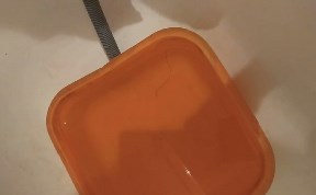 Общество