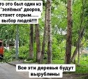 Новая парковка в "зелёном" дворе Южно-Сахалинска расстроила и обрадовала жителей одновременно