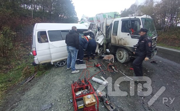 Очевидцев смертельного ДТП в районе Пожарского ищет сахалинская полиция