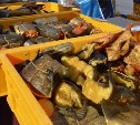 Самая длинная очередь – за креветкой: на морской ярмарке в Южно-Сахалинске царит ажиотаж