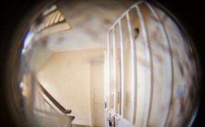 Происшествия