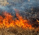 "Якутии мало!": отдыхающие оставили костер на берегу моря в Поронайске и устроили пожар
