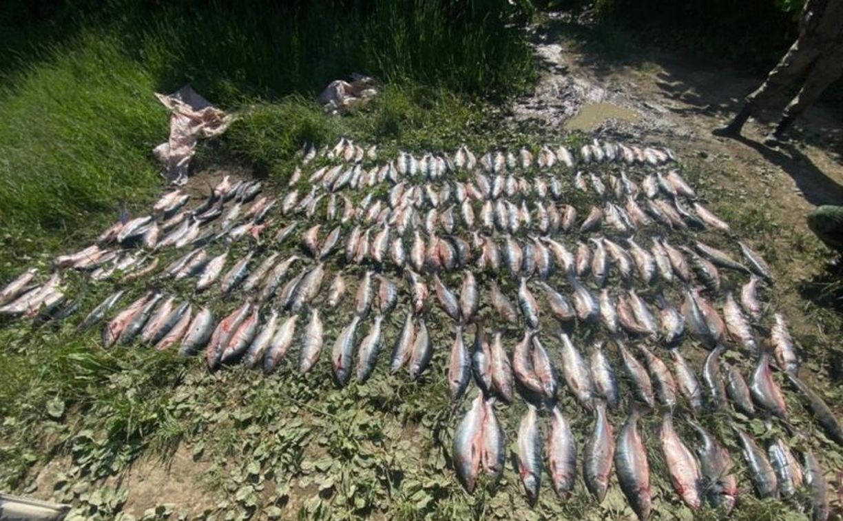 Браконьера задержали на сахалинской реке с 220 хвостами горбуши