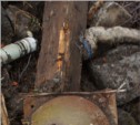 Саперы из Южно-Сахалинска отправились в Поронайск на место обнаружения мины (ФОТО)