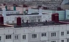 Общество