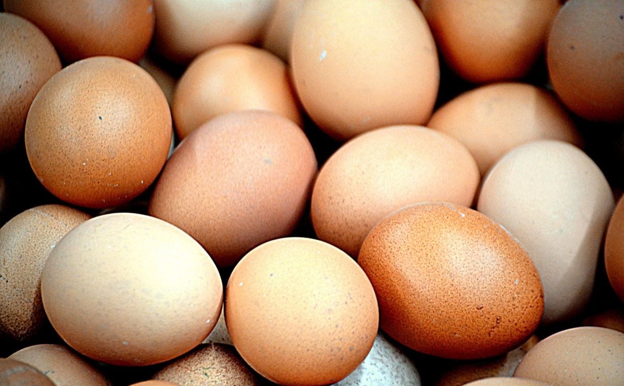 Яйца и мясо птицы в магазинах начнут дешеветь