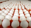 Около ста тысяч привозных куриных яиц арестовано на Сахалине