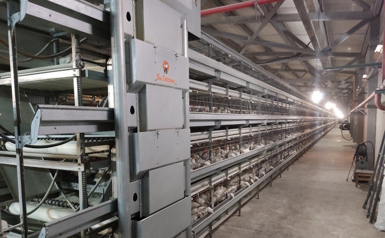 Работники сахалинской птицефабрики "Островная" жалуются на задержку зарплаты: какие меры принимают