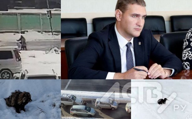 Отставка Ивашова, дорожные войны и необычные пушистики — каким был январь 2025 года