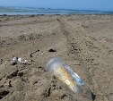 Сотни добровольцев готовы очистить Анивский пляж от мусора