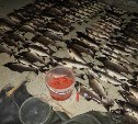 Сахалинская рыбоохрана взяла незаконных заготовителей икры прямо на водоёме