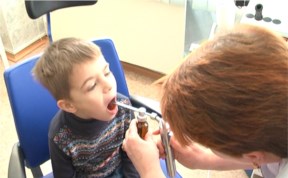 Общество