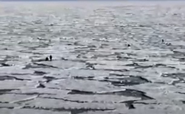 Рыбаки в Макаровском районе вышли на раздробленный лёд ради краба