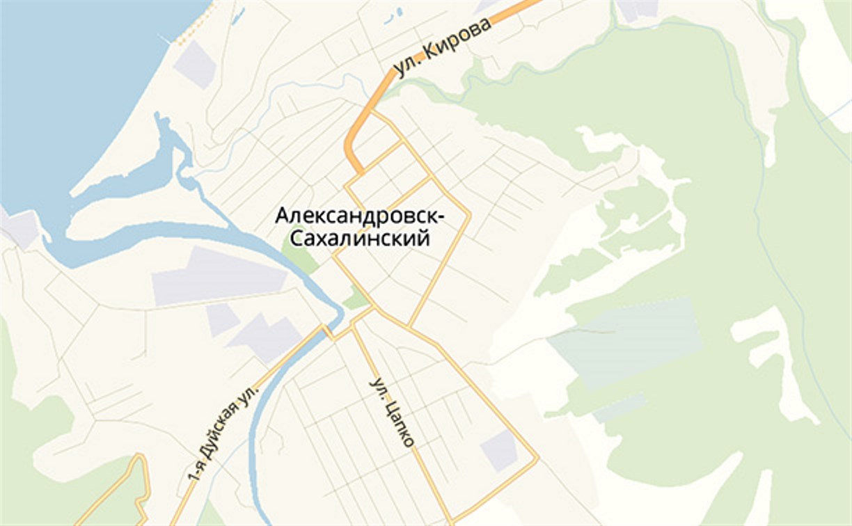 В Александровске-Сахалинском 44 дома остались без воды из-за оползня