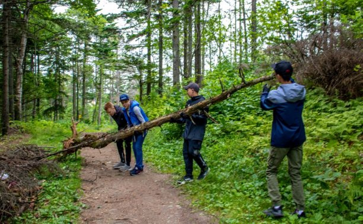 Поваленные деревья из корсаковского парка попросили вынести молодёжь