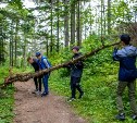 Поваленные деревья из корсаковского парка попросили вынести молодёжь