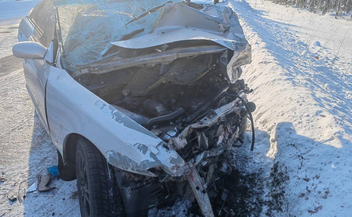 Женщина-водитель Toyota Mark II была пьяна и без прав: подробности ДТП с тремя погибшими на Сахалине