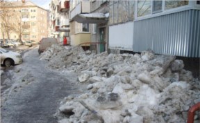 Общество