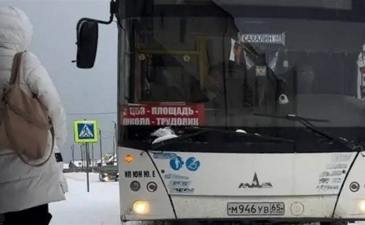 "Высаживать детей недопустимо": в Углегорске накажут перевозчика за инцидент со школьником