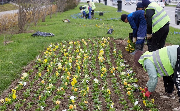 Южно-Сахалинск уже украсили 50 тысяч цветов