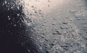 Общество