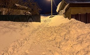 Общество