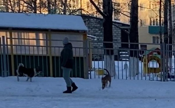 Агрессивные собаки повалили женщину на землю и укусили возле детсада в Поронайске