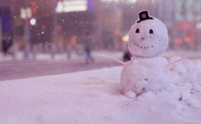 Общество