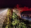 Водитель пострадал в вылетевшей с дороги в Корсаковском районе "Тойоте"