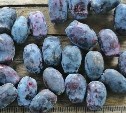 Сахалинский ботанический сад представил новый сорт жимолости - объявлен конкурс на его название