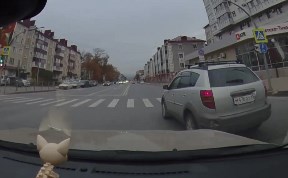 Общество