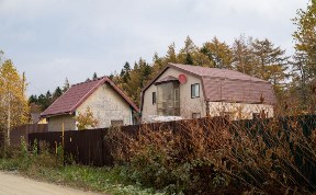Общество