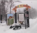 На сотрудницу сахалинского зоопарка напал удав