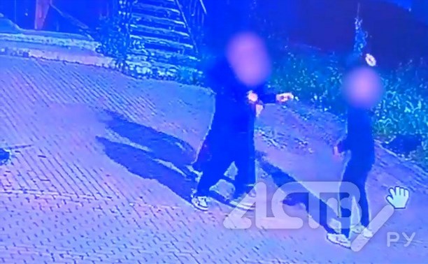 Предшествовавший убийству конфликт у бара в Южно-Сахалинске попал на видео