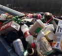 Территория «Горного воздуха» в Южно-Сахалинске переполнена мусором