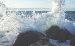 Происшествия